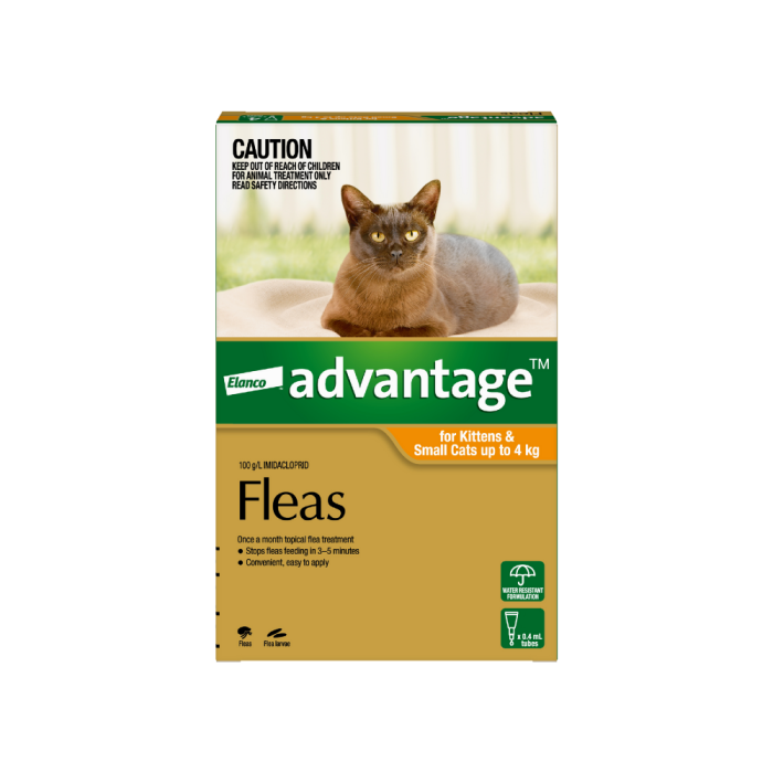 Advantage Kitten Cat Small Up To 4kg Orange