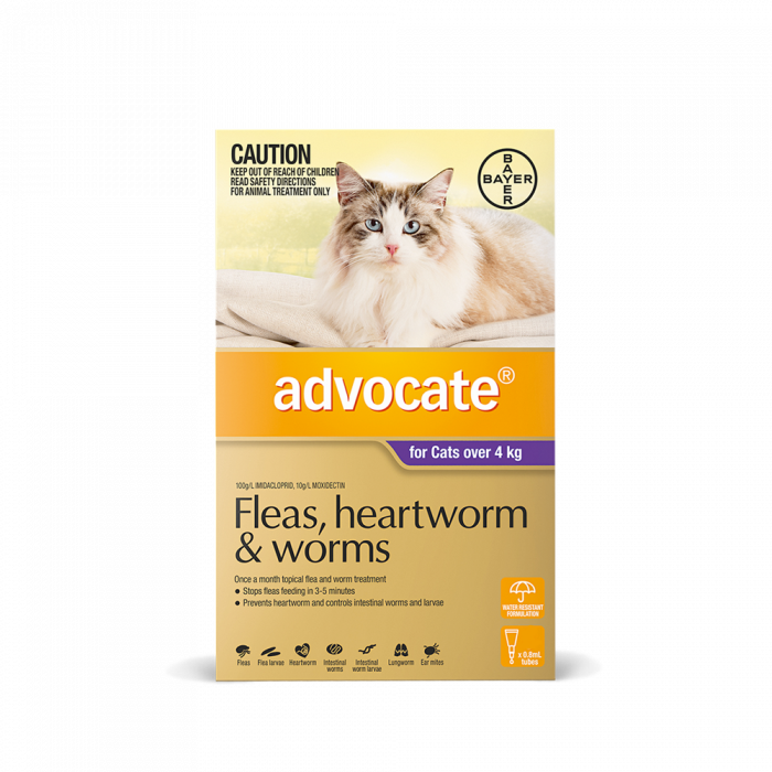Advocate for Cats over 4kg Flea & Heartworm Treatment Vet Products