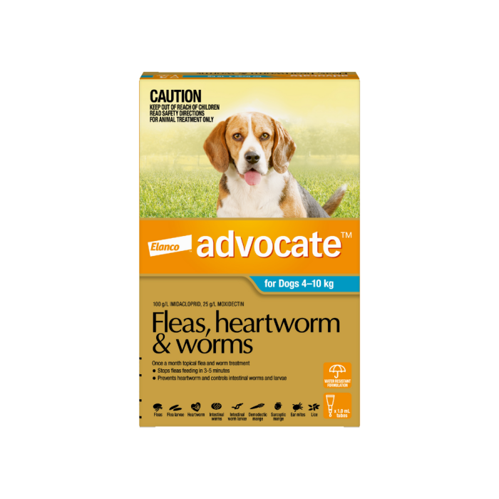 Advocate fleas heartworm and worms hotsell