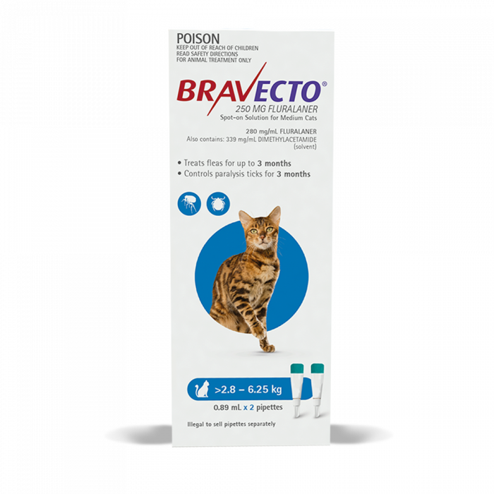 Bravecto Spot On for Cats Bravecto Spot On Flea and Tick Control Vet