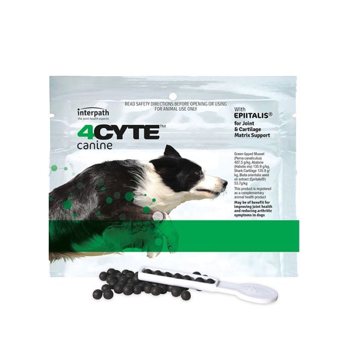 4cyte cheap for dogs