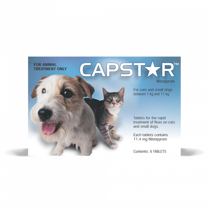 Capstar vet store