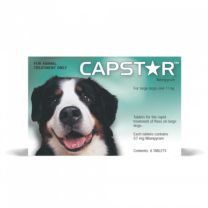 Capstar dosage for large 2025 dogs