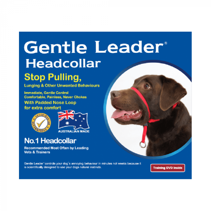 Gentle Leader Head Collar Blue