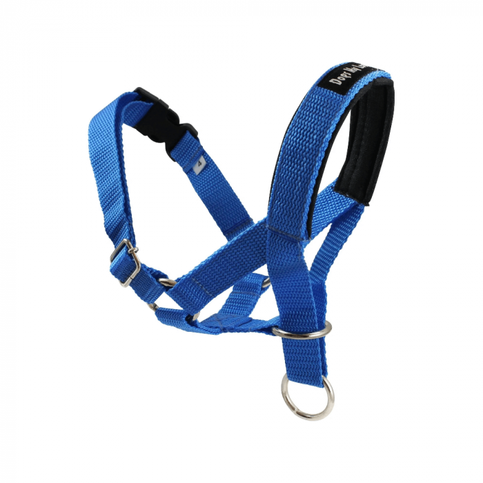 Gentle leader head collar australia store