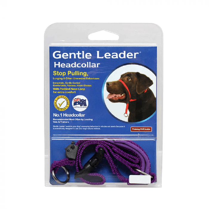 Head leads for dogs new arrivals
