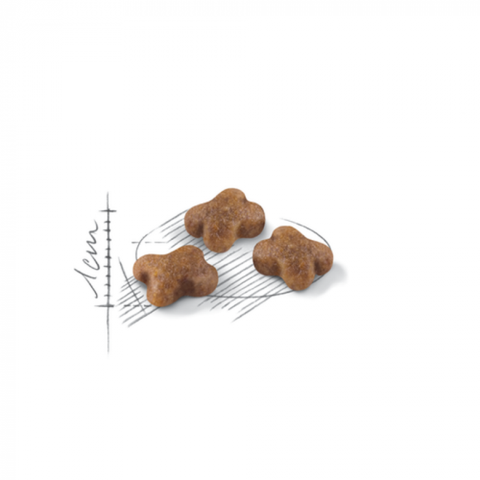 Royal Canin Health Nutrition Second Age Kitten Dry Food