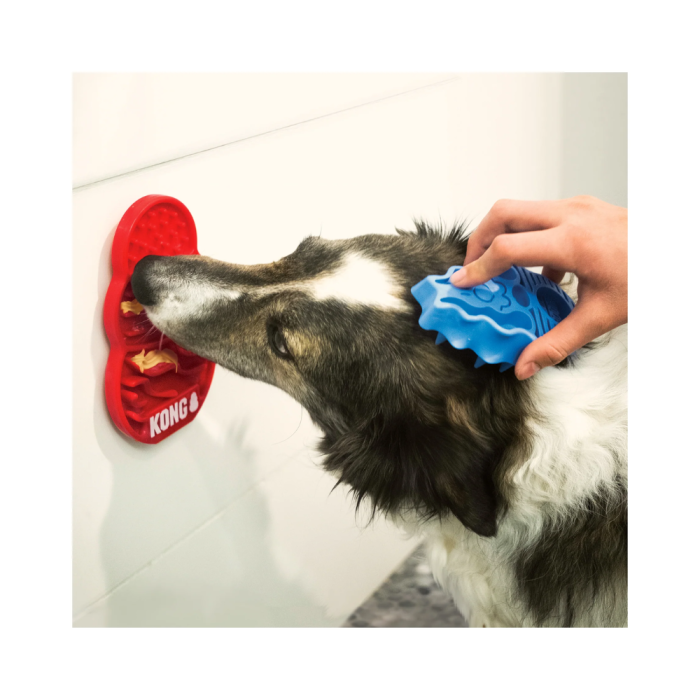 Kong dog feeder store