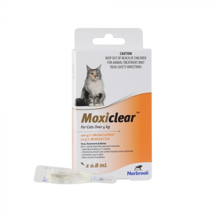 Moxiclear For Cats More Than 4kg Orange Vet Products Direct Australia