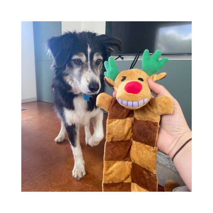 Squeaker mat hot sale dog toy