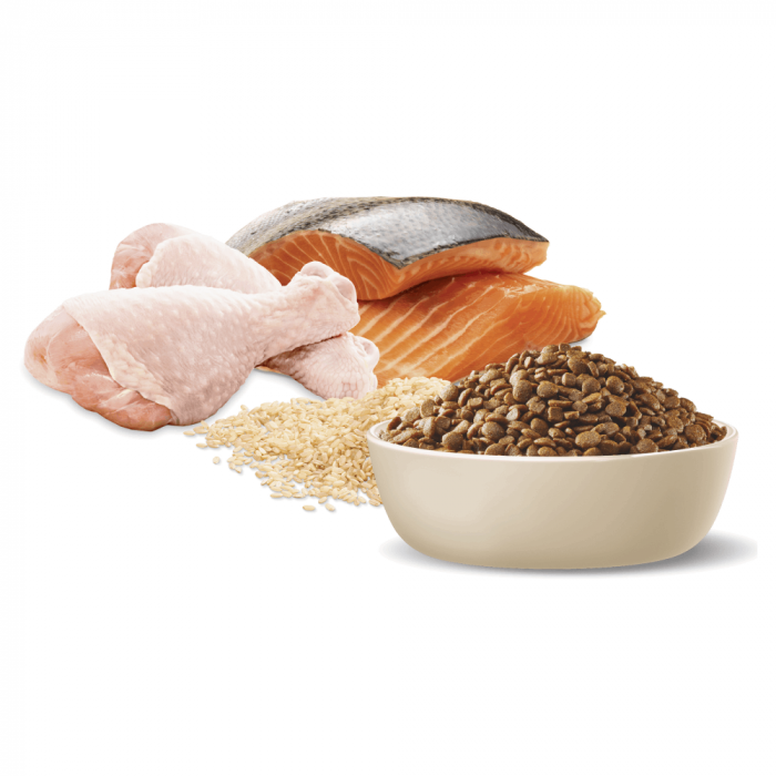 Advance cat food 20kg cheap