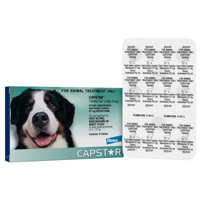 Capstar and bravecto together sales