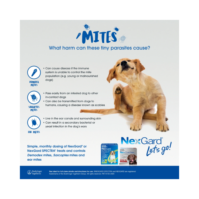 nexgard chewables nexgard blue for dogs