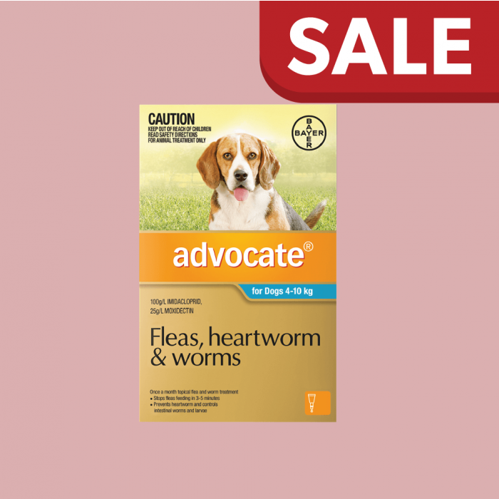 advocate dog medium