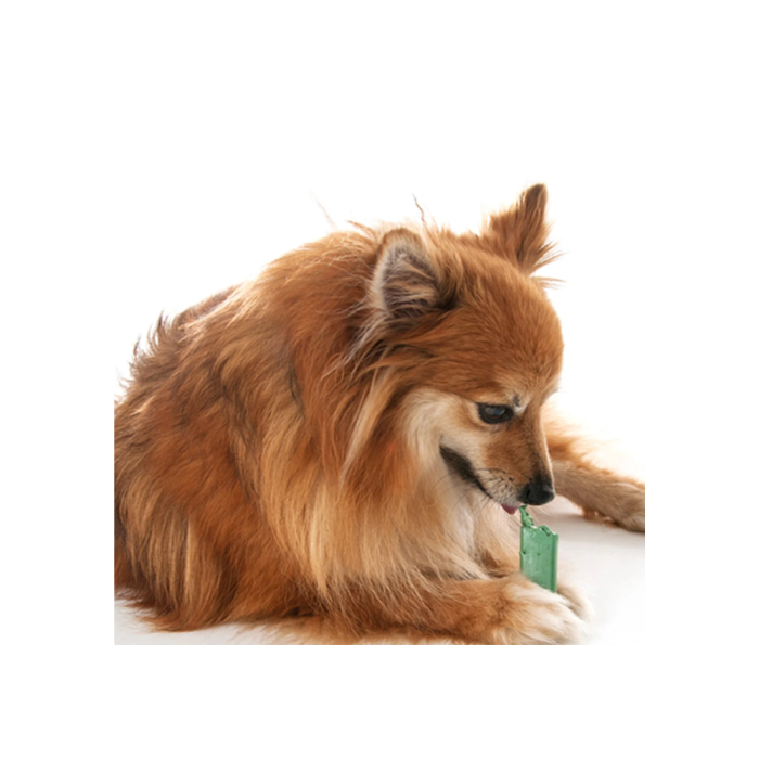 OraVet Dental Chews Dog Extra Small Up to 4.5kg VetProductsDirect
