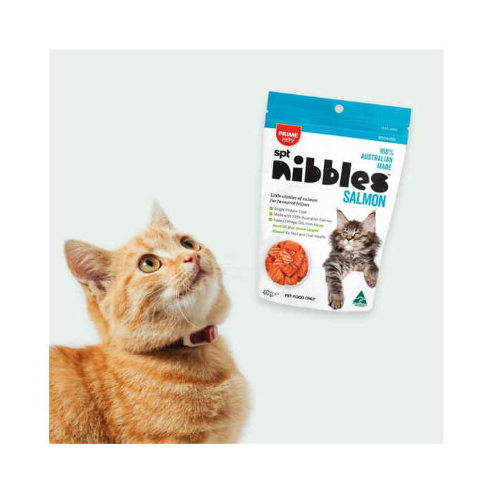 Prime Pantry Cat Nibbles Salmon Treats 40g VetProductsDirect