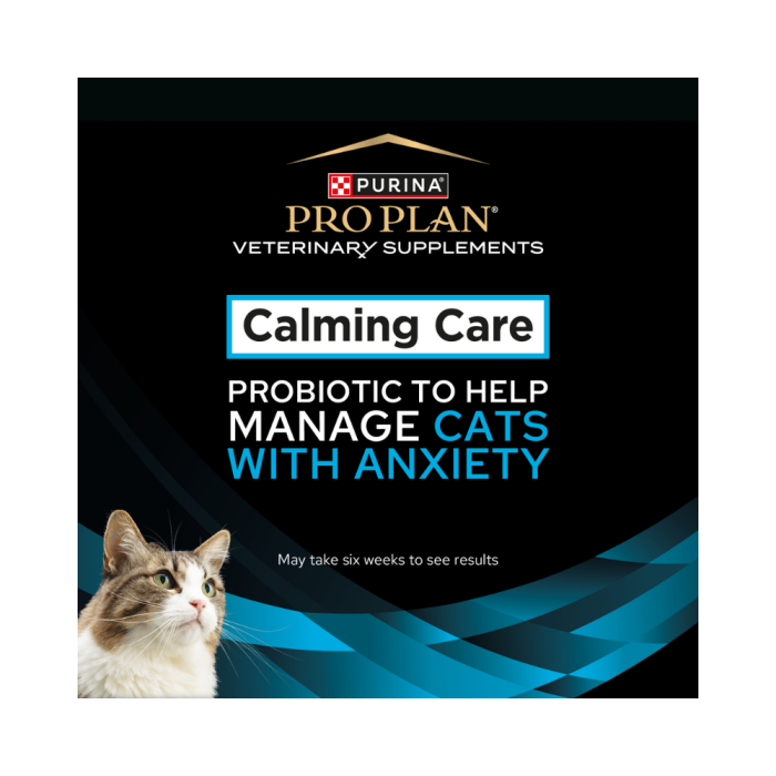 purina calming care probiotic for dogs