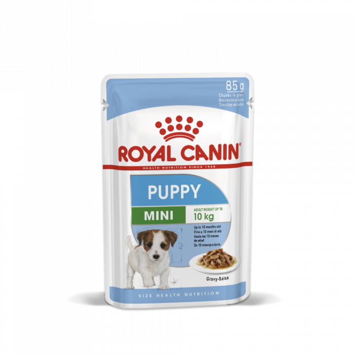 Puppy mini royal canin shop