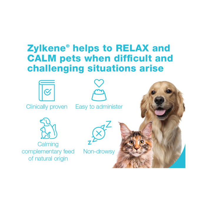 Zylkene for large dogs cheap