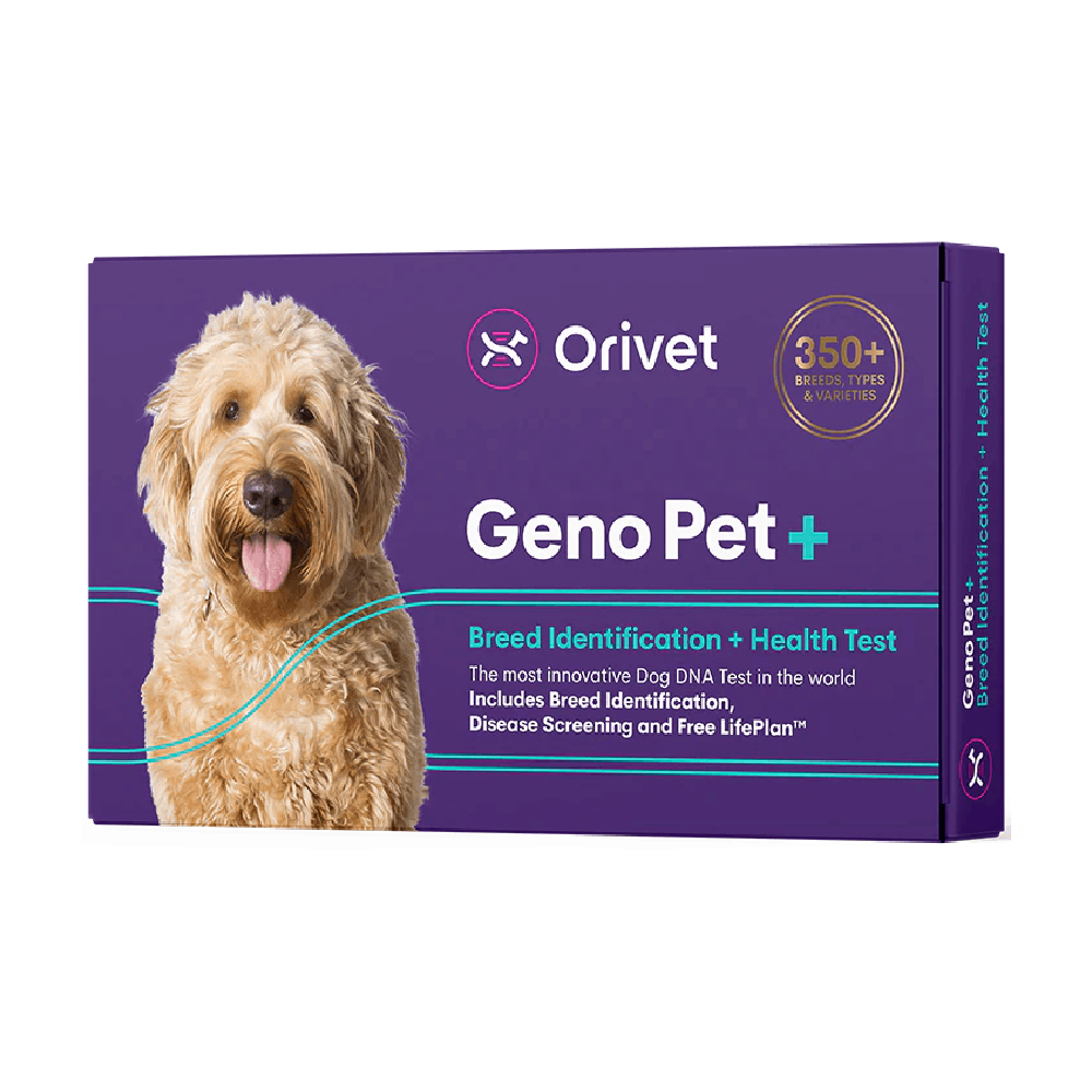 Dog dna breed identification test shop