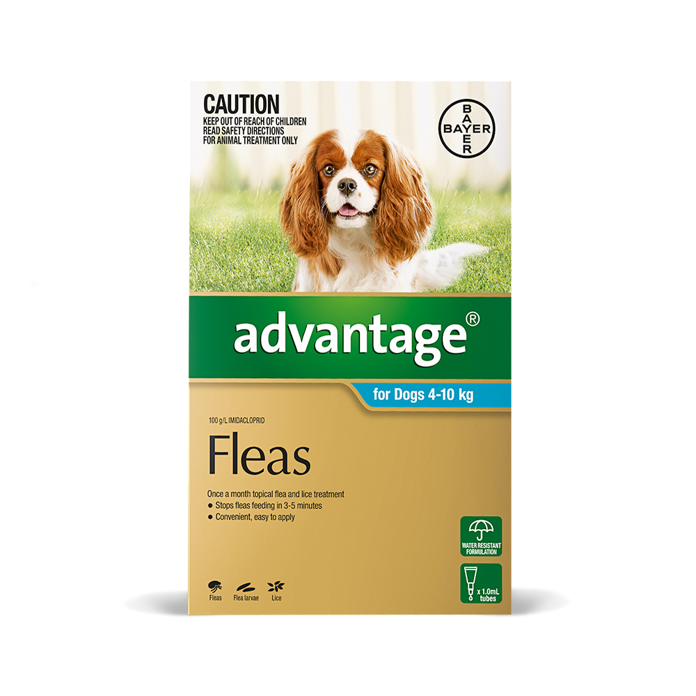 advantage dog flea