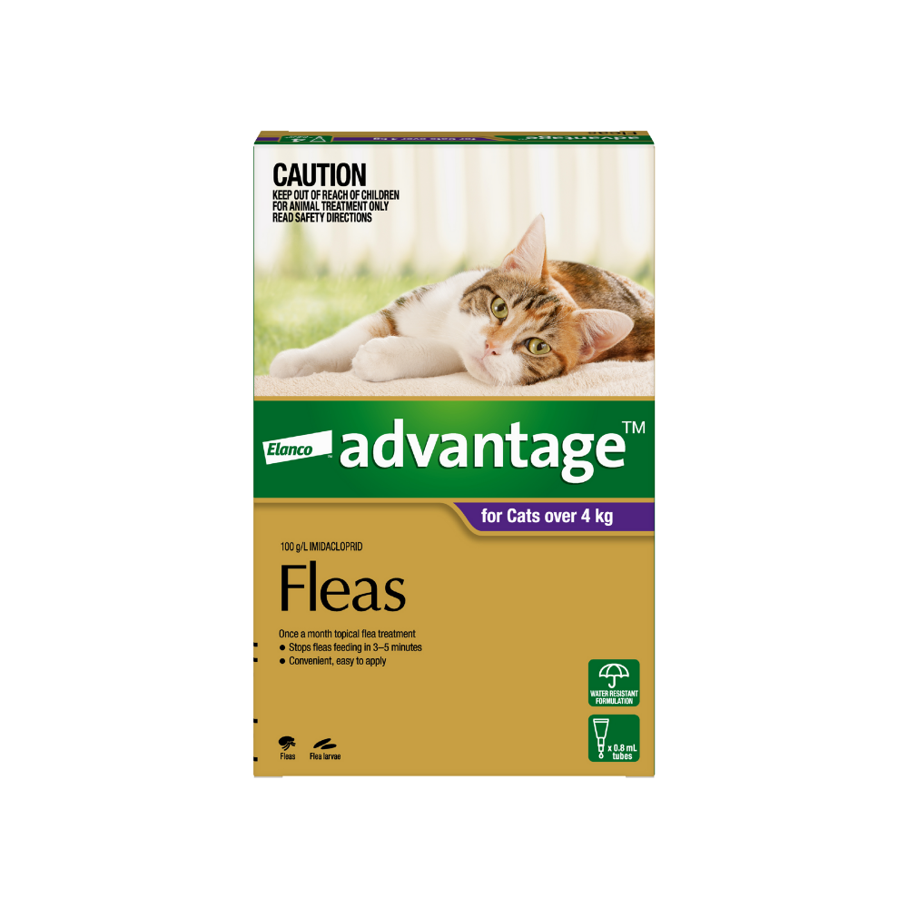 Advantage large cat deals 4 pack