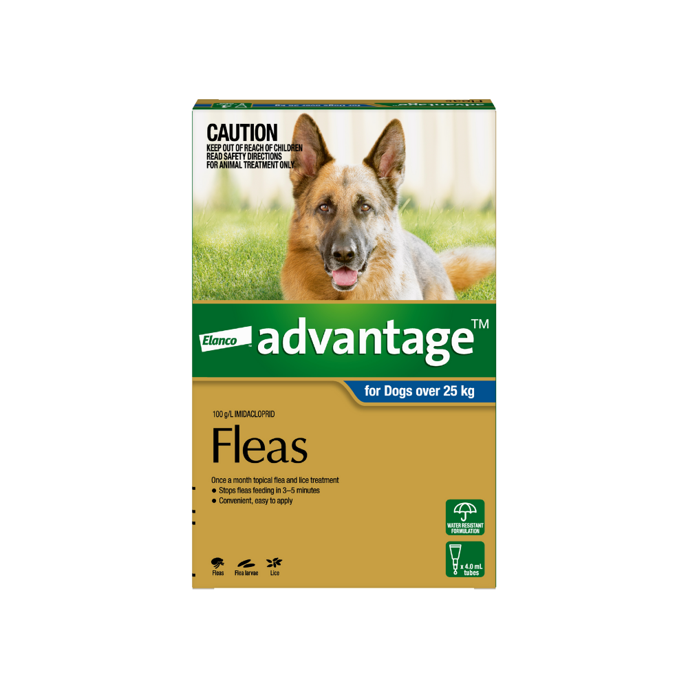 Advantage 100 flea top treatment for dogs