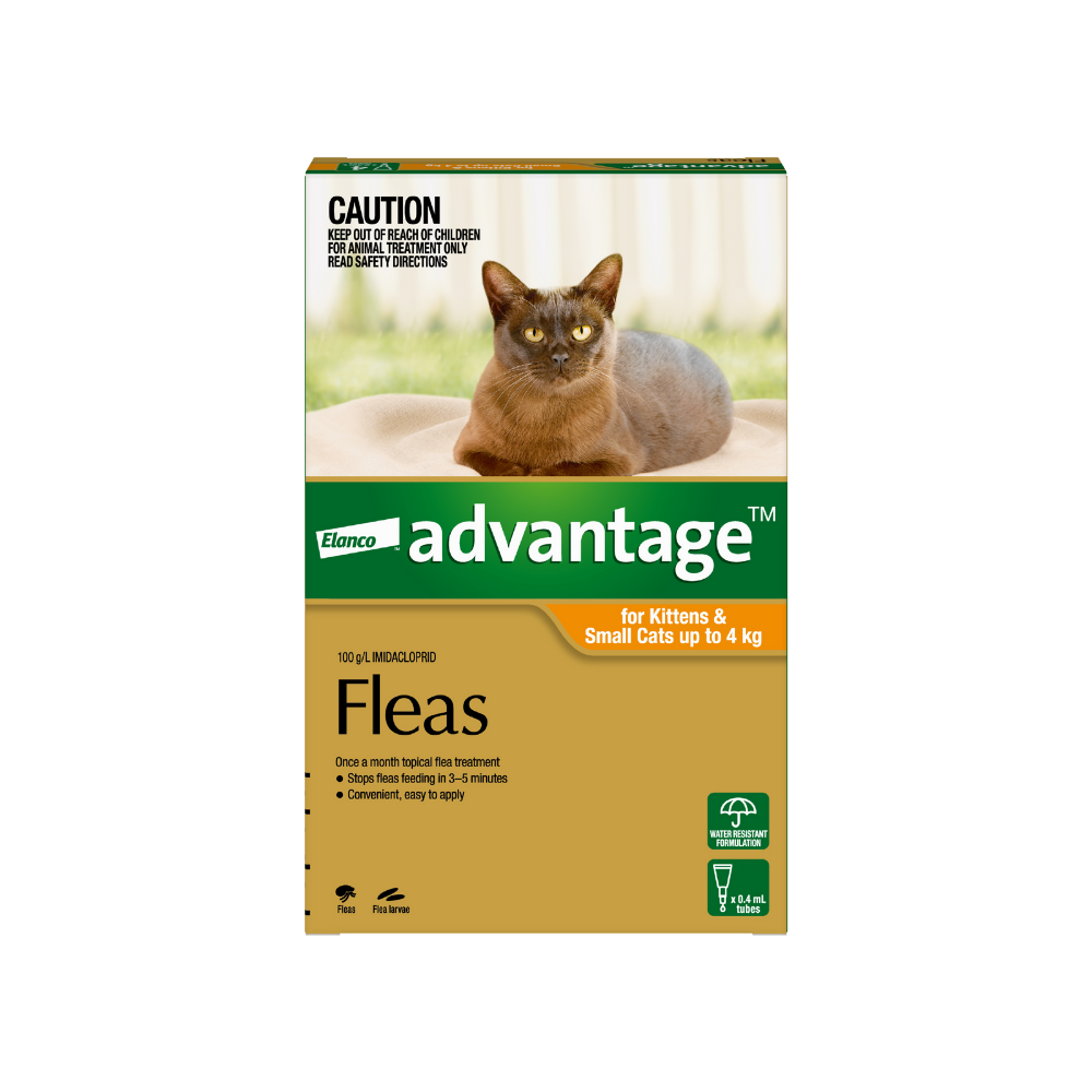 Advantage kitten flea sales