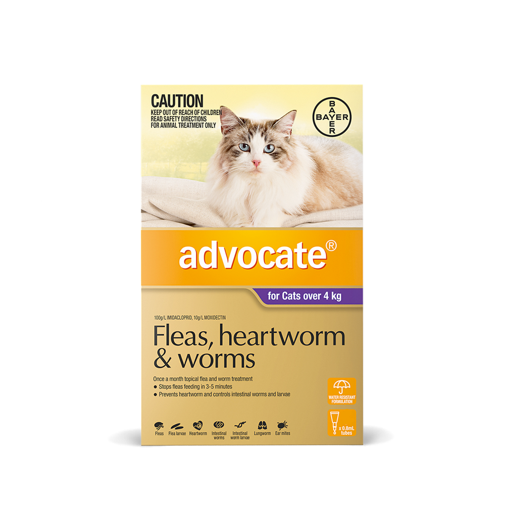Advocate for Cats Over 4kg VetProductsDirect