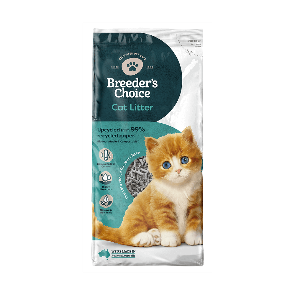 How to take care of cat litter online