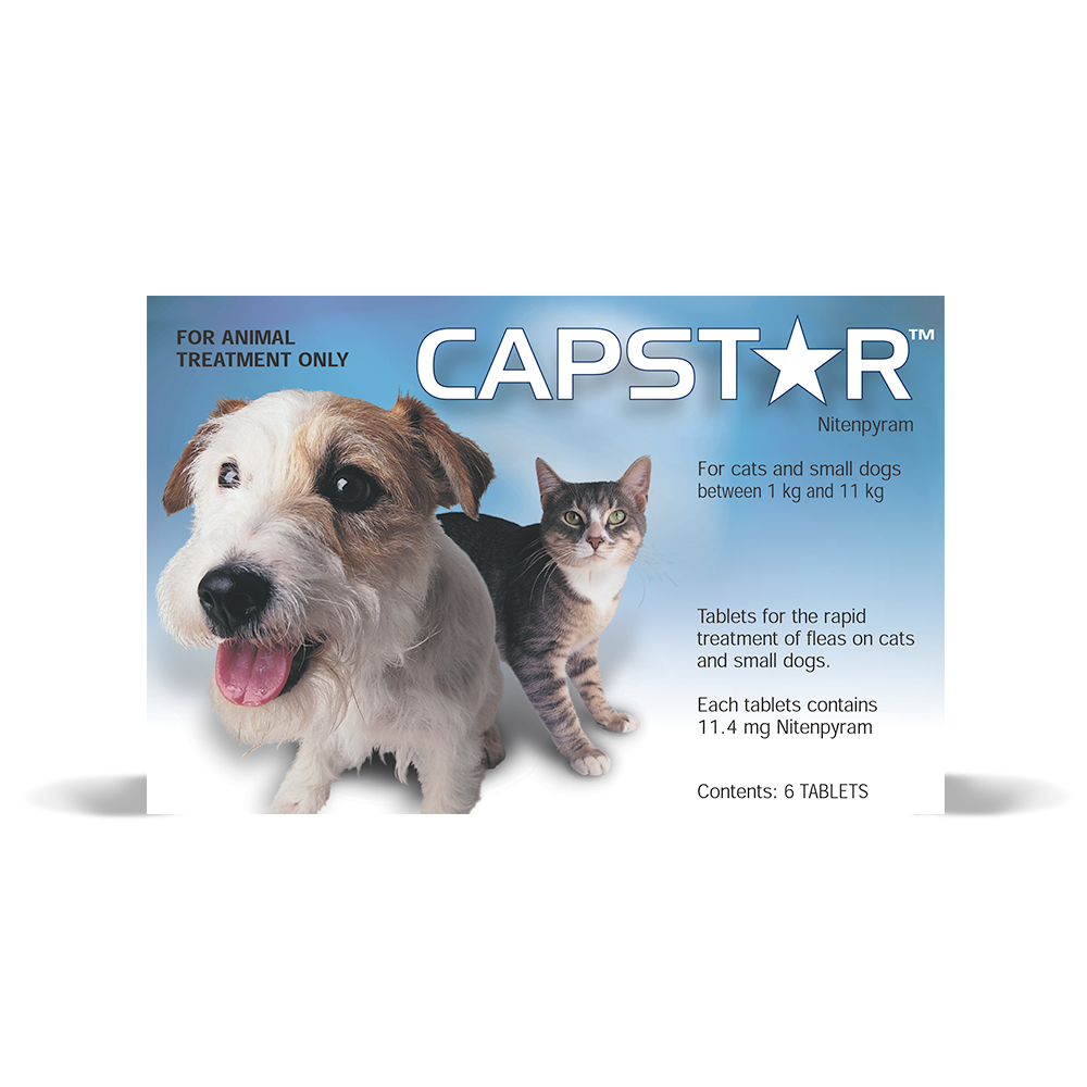Capstar Flea Treatment Capstar Flea Control for Cats Small