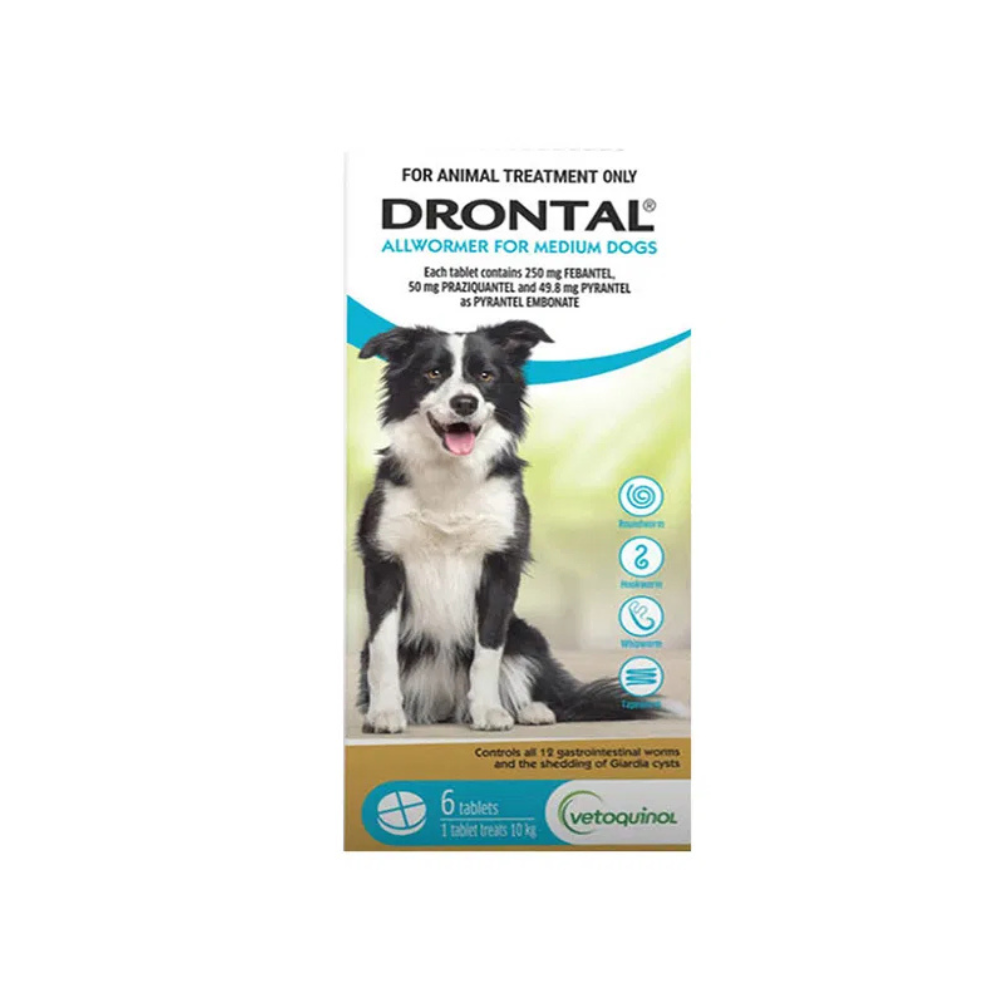 Drontal Allwormer Dog Medium 10kg Tablets VetProductsDirect