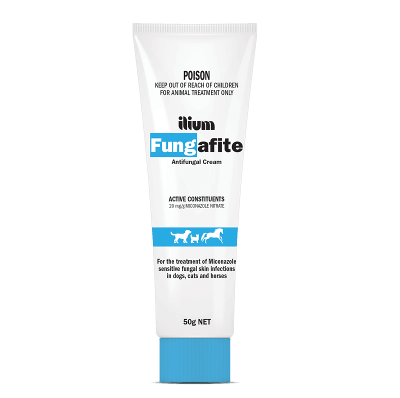 My dog ate antifungal on sale cream