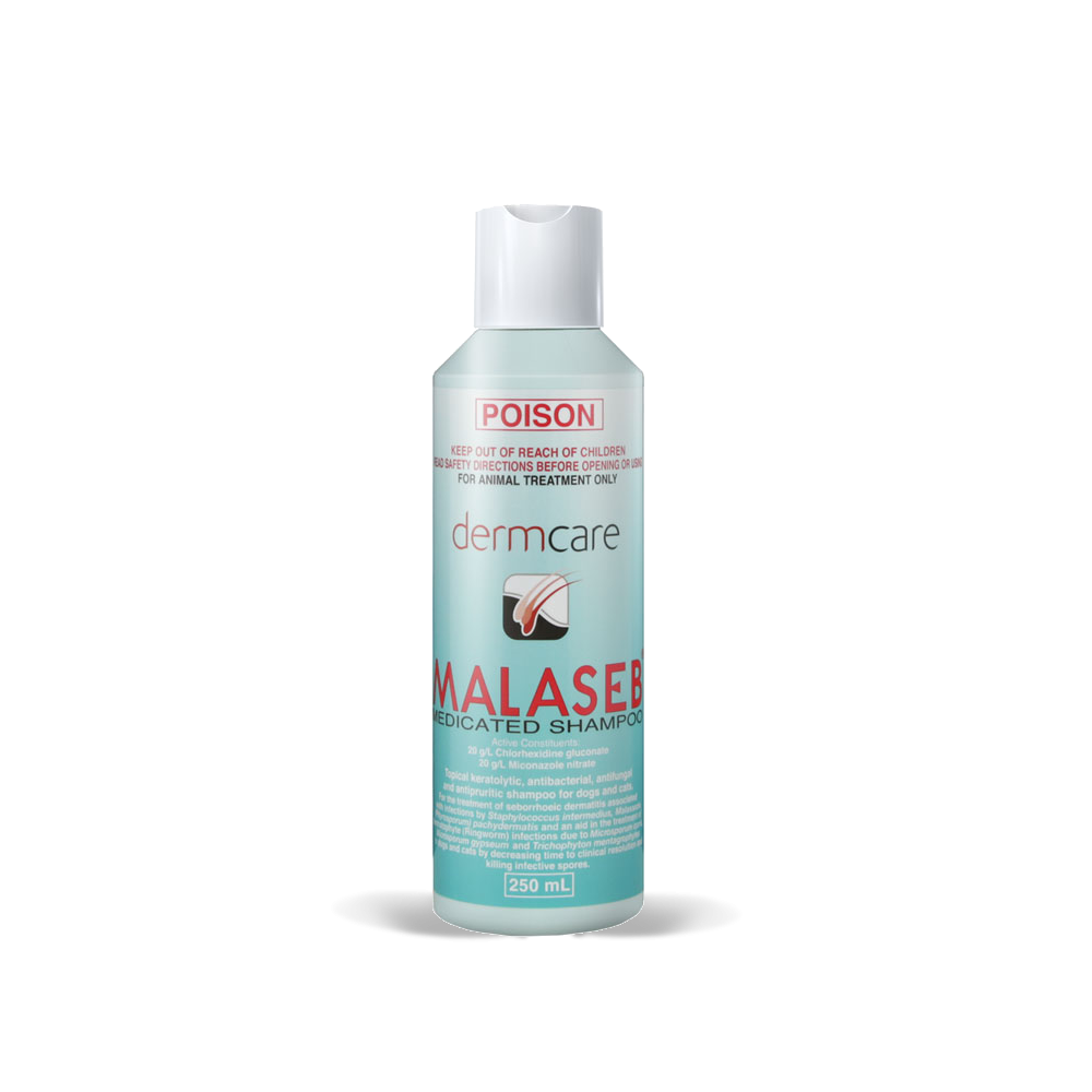 Malaseb Medicated Foam VetProductsDirect