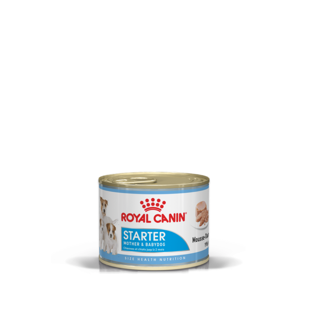 Royal canin starter mousse australia new arrivals