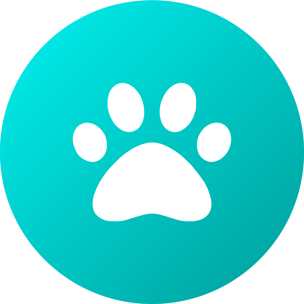 Flea Treatment for Kittens Vet Products Direct Australia