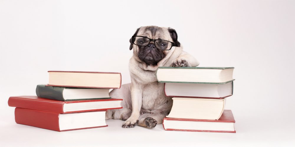 Pug with glasses on sitting next to stack of books
