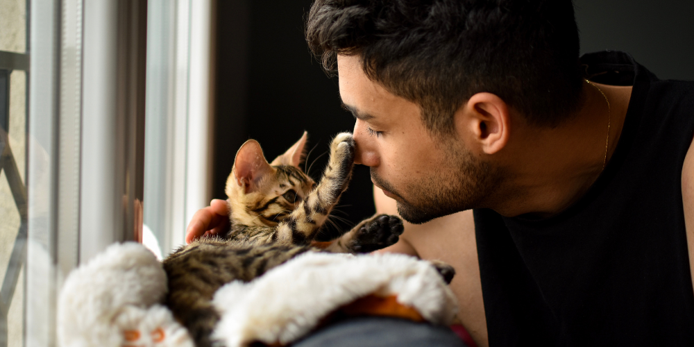 Kitten with paw on man's face