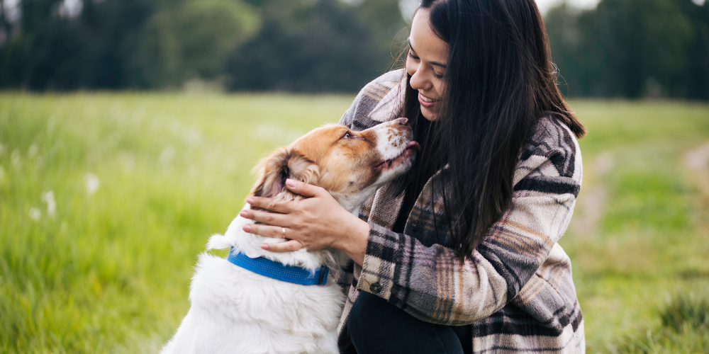 Celebrating You and Your Dog's Lap Day: A Bonding Experience Like No Other