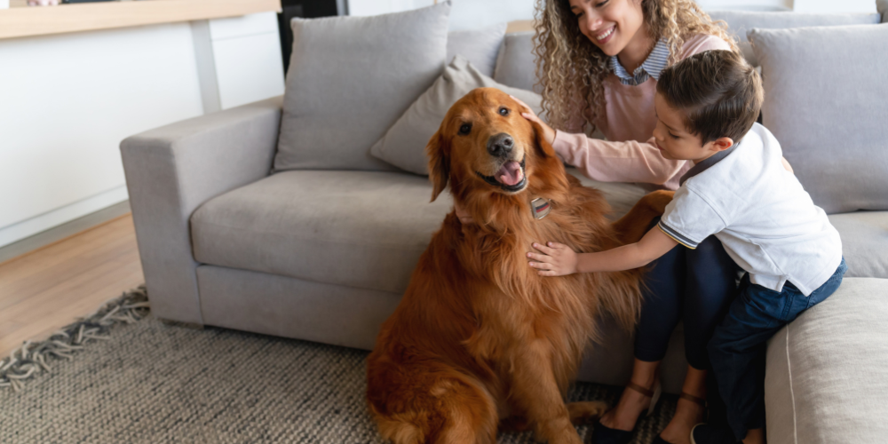 Shortening Your Dogs Life