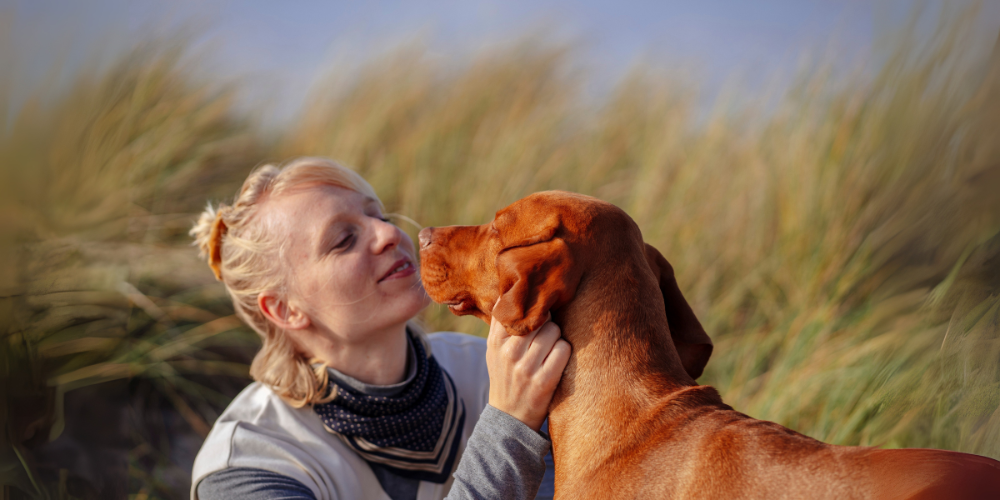 Dog and human having a nice moment in the grass