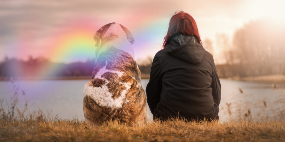 Dog and human overlooking a lake with a rainbow