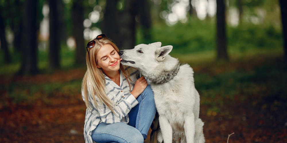 10 Things Your Dog Can Lick (That’s Not Your Face!)