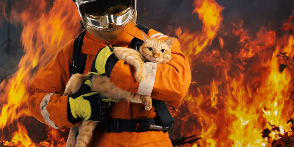 Pet Emergency Plan