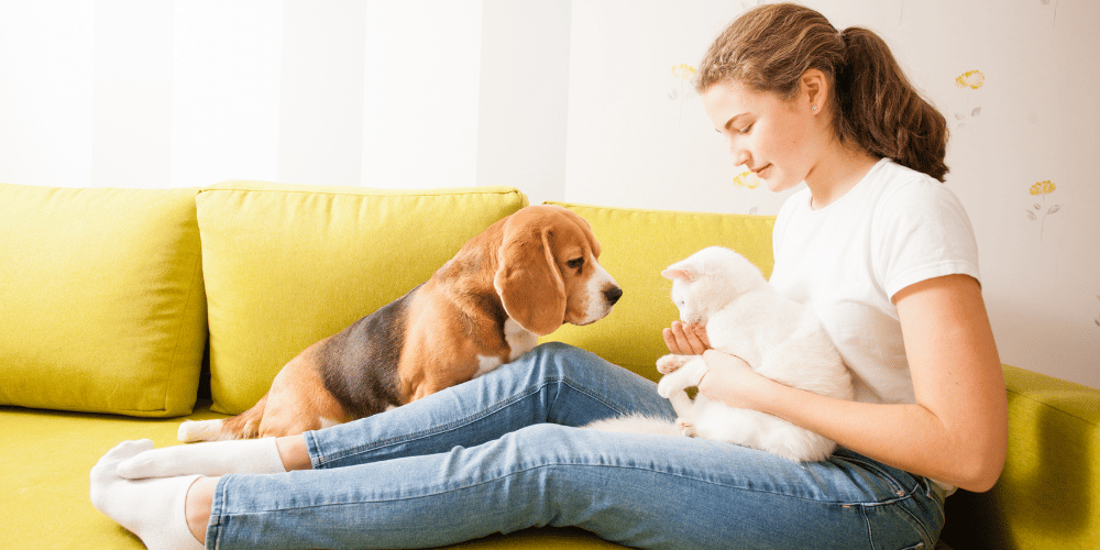 Vet with Dog