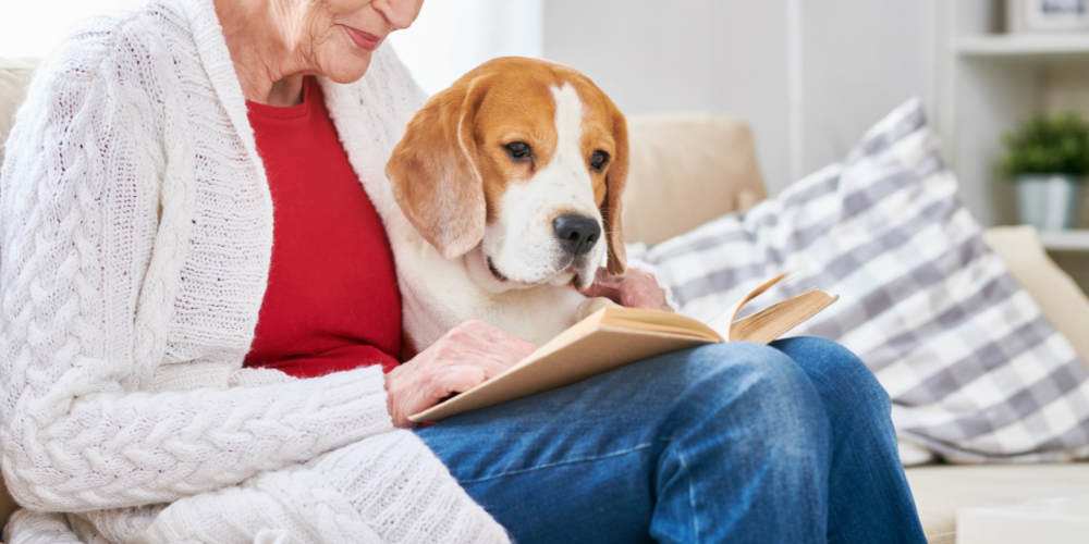 Adopting a Senior Pet