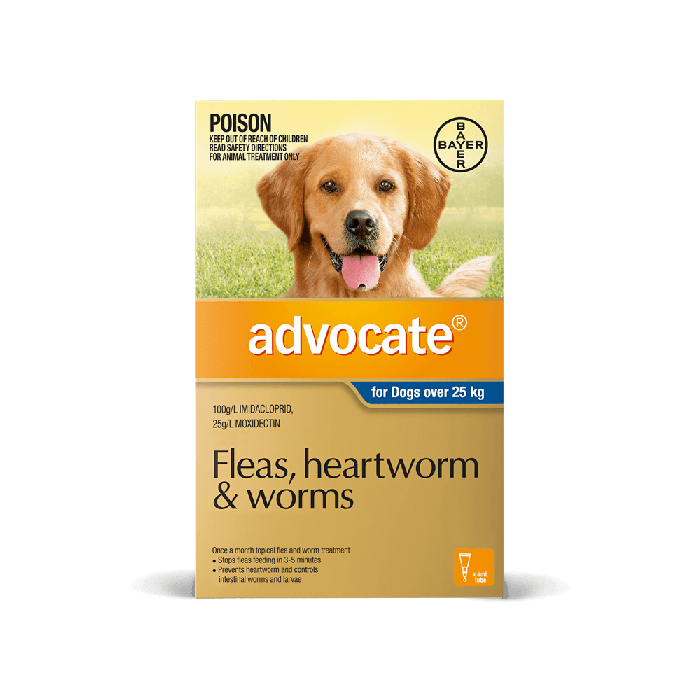 Why Worming Your Pet Is So Important Vet Products Direct Australia