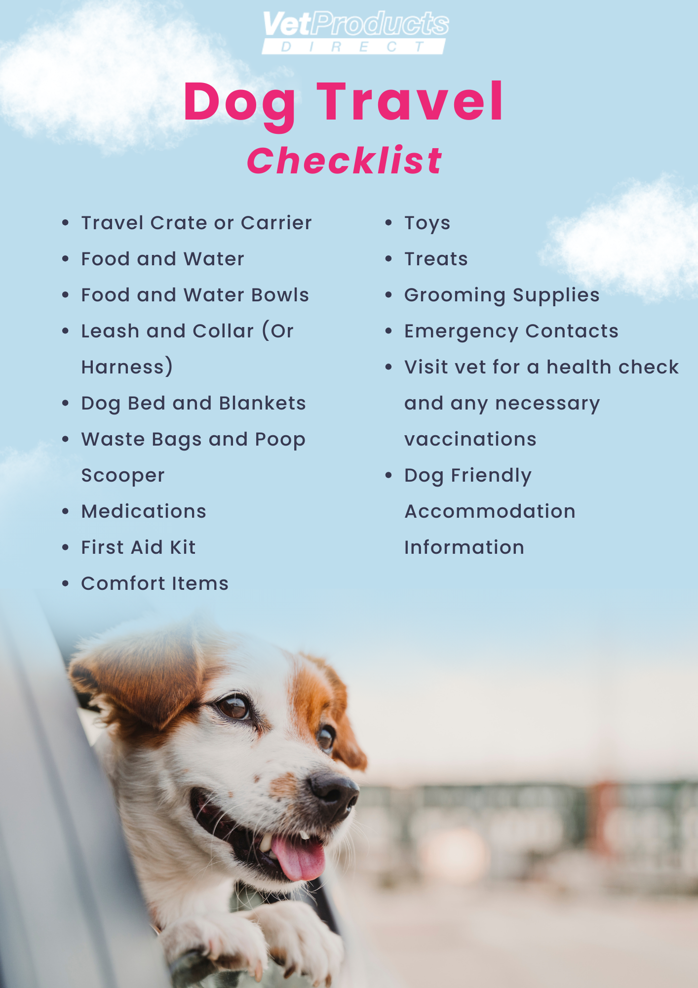 Pet friendly travel options 2025