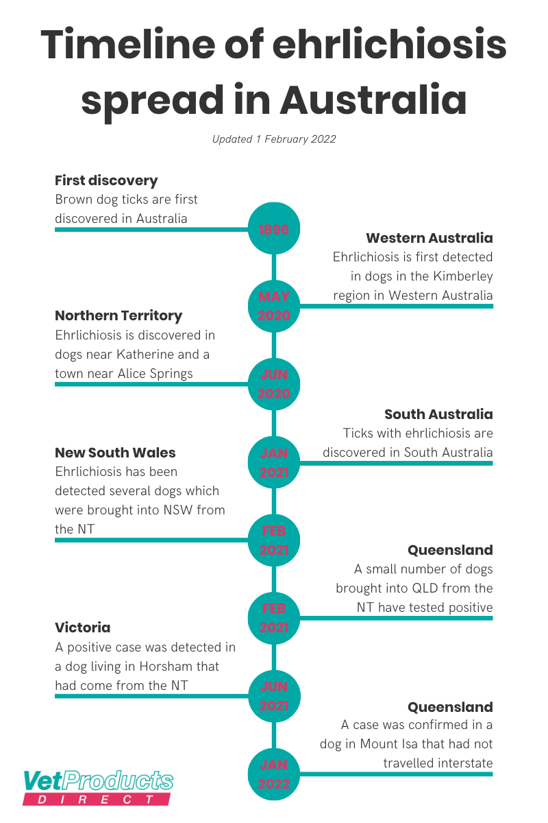 An image with a timeline showing the spread of ehrlichiosis in Australia