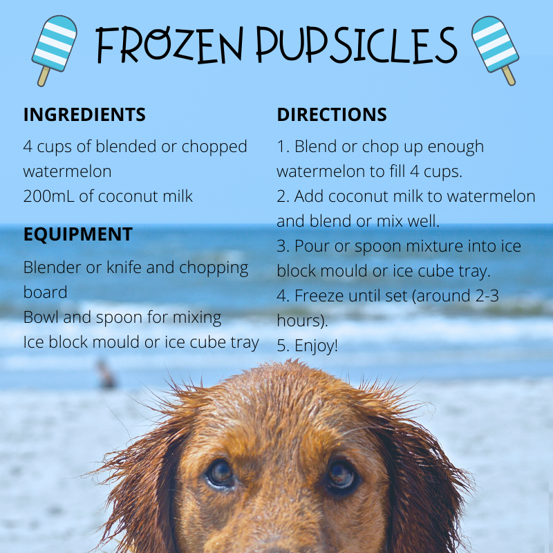 A graphic of a recipe for frozen pupsicles
